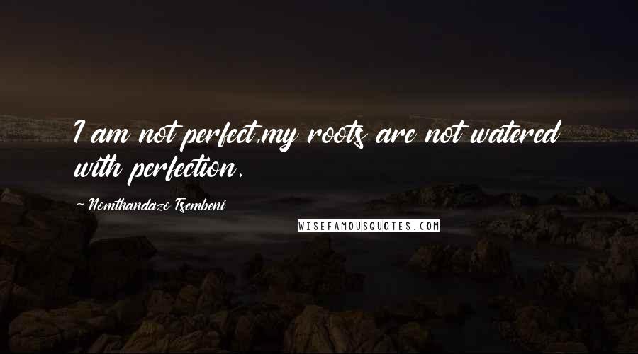 Nomthandazo Tsembeni Quotes: I am not perfect,my roots are not watered with perfection.