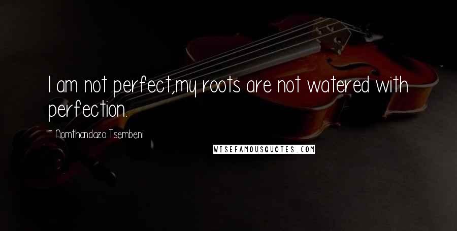 Nomthandazo Tsembeni Quotes: I am not perfect,my roots are not watered with perfection.