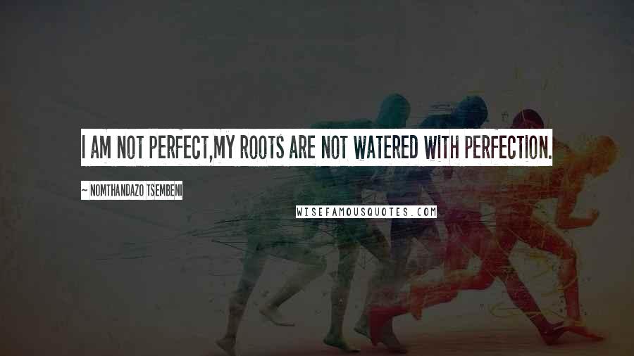 Nomthandazo Tsembeni Quotes: I am not perfect,my roots are not watered with perfection.