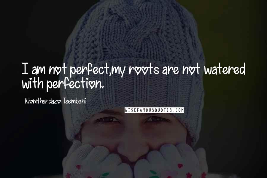 Nomthandazo Tsembeni Quotes: I am not perfect,my roots are not watered with perfection.