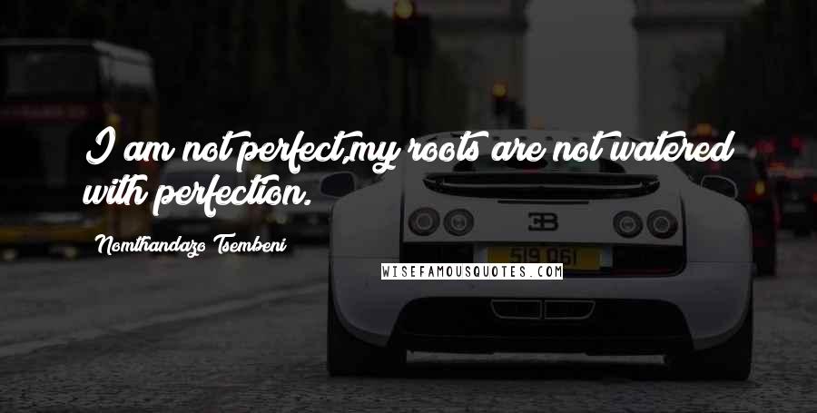 Nomthandazo Tsembeni Quotes: I am not perfect,my roots are not watered with perfection.