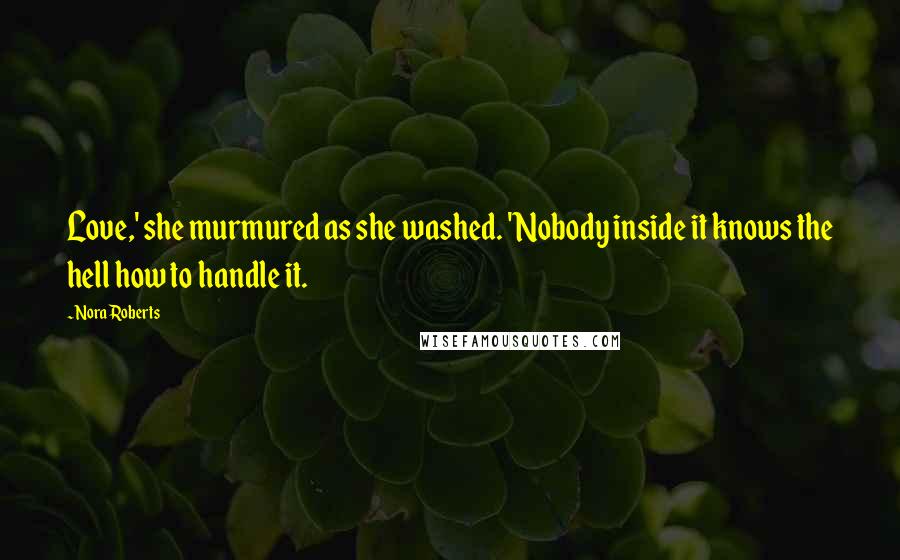 Nora Roberts Quotes: Love,' she murmured as she washed. 'Nobody inside it knows the hell how to handle it.