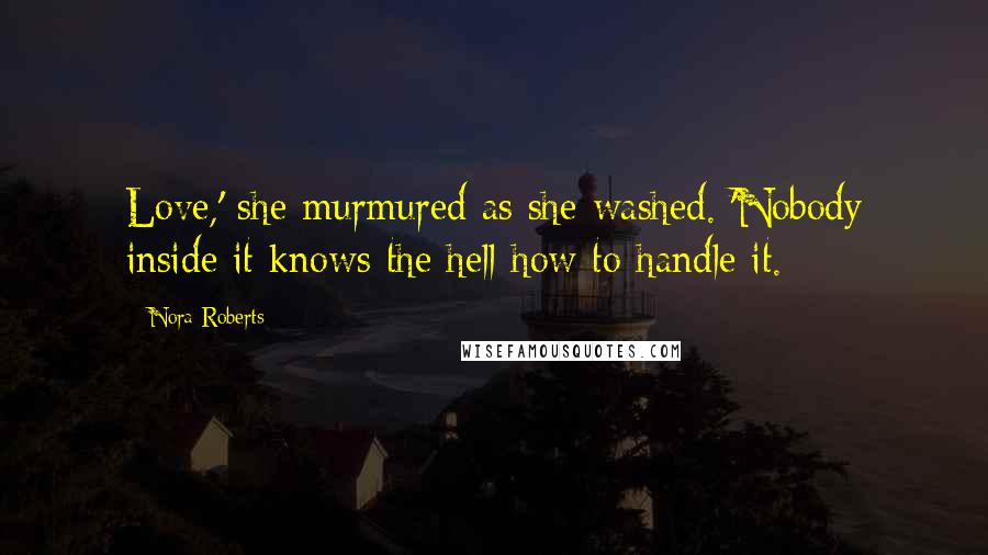 Nora Roberts Quotes: Love,' she murmured as she washed. 'Nobody inside it knows the hell how to handle it.