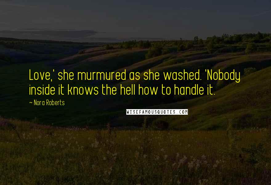 Nora Roberts Quotes: Love,' she murmured as she washed. 'Nobody inside it knows the hell how to handle it.
