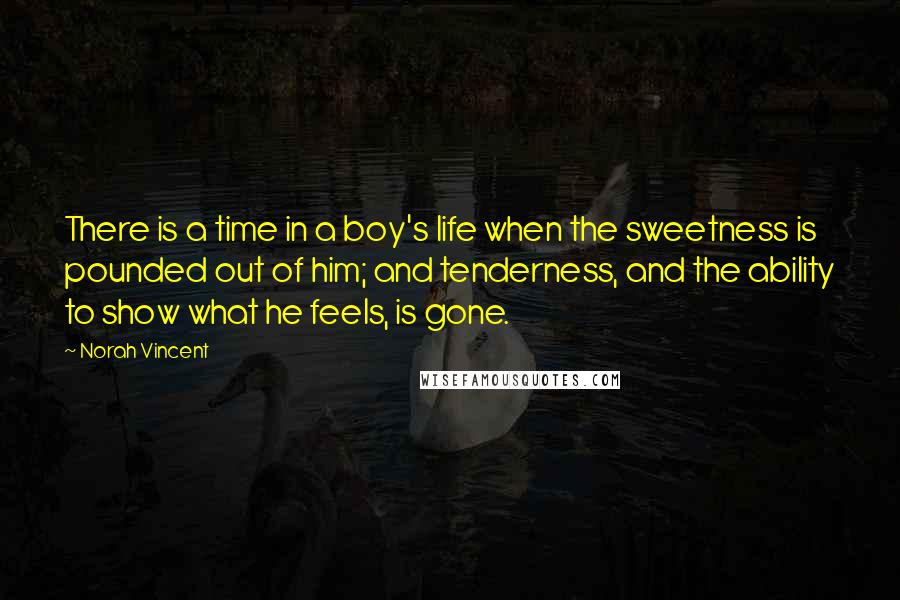 Norah Vincent Quotes: There is a time in a boy's life when the sweetness is pounded out of him; and tenderness, and the ability to show what he feels, is gone.