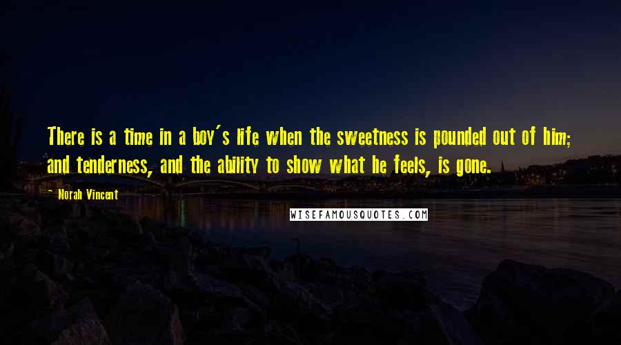 Norah Vincent Quotes: There is a time in a boy's life when the sweetness is pounded out of him; and tenderness, and the ability to show what he feels, is gone.