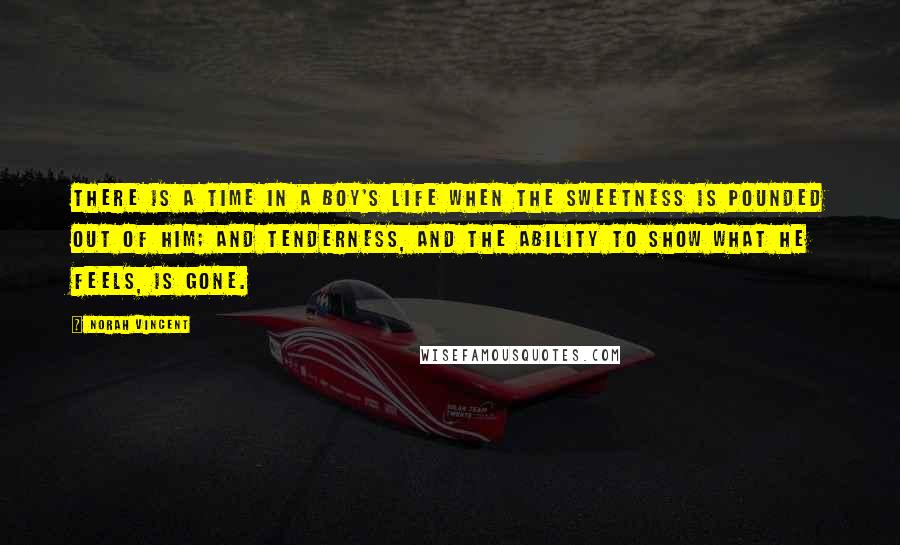 Norah Vincent Quotes: There is a time in a boy's life when the sweetness is pounded out of him; and tenderness, and the ability to show what he feels, is gone.