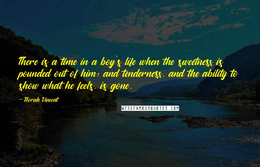 Norah Vincent Quotes: There is a time in a boy's life when the sweetness is pounded out of him; and tenderness, and the ability to show what he feels, is gone.