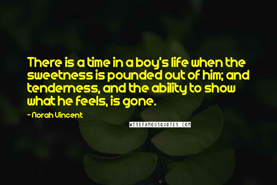 Norah Vincent Quotes: There is a time in a boy's life when the sweetness is pounded out of him; and tenderness, and the ability to show what he feels, is gone.