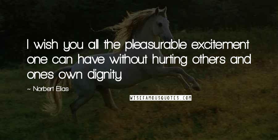 Norbert Elias Quotes: I wish you all the pleasurable excitement one can have without hurting others and one's own dignity.