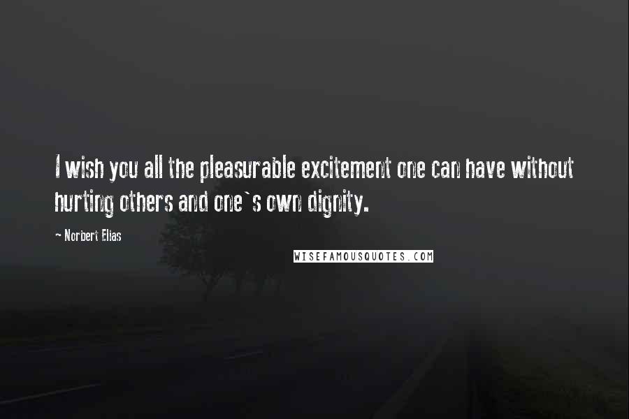 Norbert Elias Quotes: I wish you all the pleasurable excitement one can have without hurting others and one's own dignity.