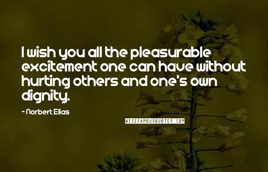 Norbert Elias Quotes: I wish you all the pleasurable excitement one can have without hurting others and one's own dignity.