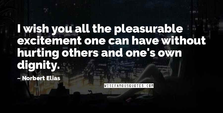 Norbert Elias Quotes: I wish you all the pleasurable excitement one can have without hurting others and one's own dignity.