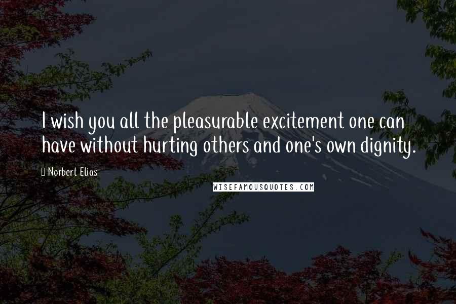 Norbert Elias Quotes: I wish you all the pleasurable excitement one can have without hurting others and one's own dignity.