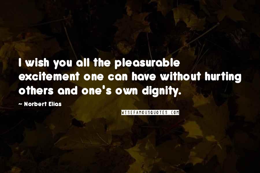 Norbert Elias Quotes: I wish you all the pleasurable excitement one can have without hurting others and one's own dignity.