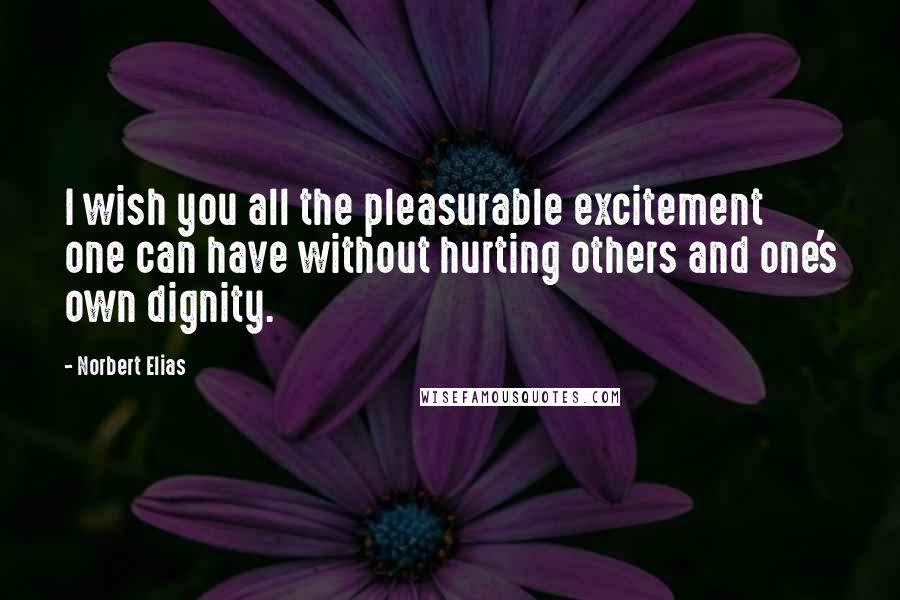 Norbert Elias Quotes: I wish you all the pleasurable excitement one can have without hurting others and one's own dignity.