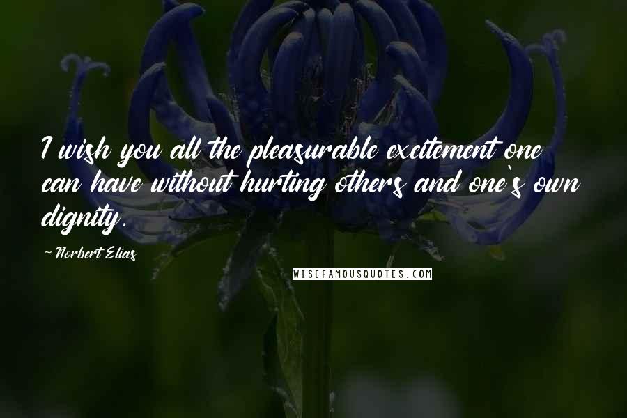 Norbert Elias Quotes: I wish you all the pleasurable excitement one can have without hurting others and one's own dignity.