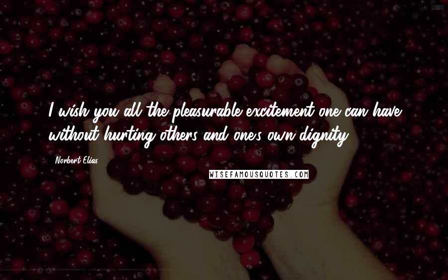 Norbert Elias Quotes: I wish you all the pleasurable excitement one can have without hurting others and one's own dignity.