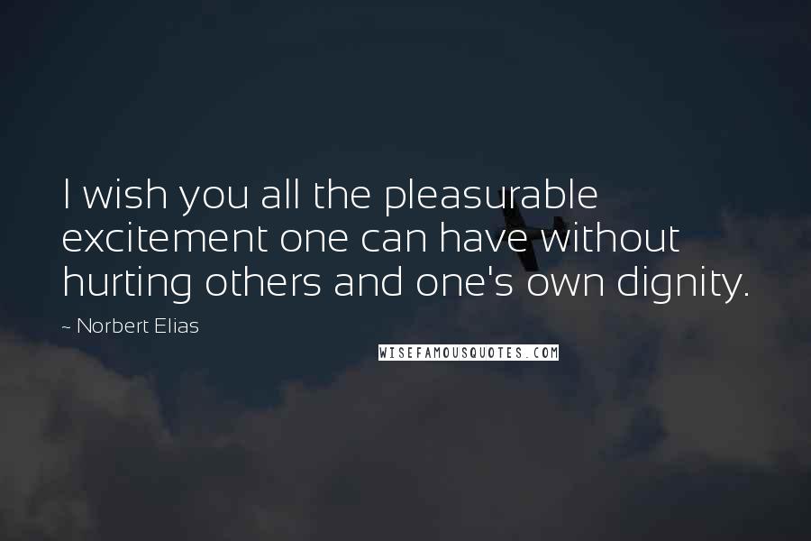 Norbert Elias Quotes: I wish you all the pleasurable excitement one can have without hurting others and one's own dignity.