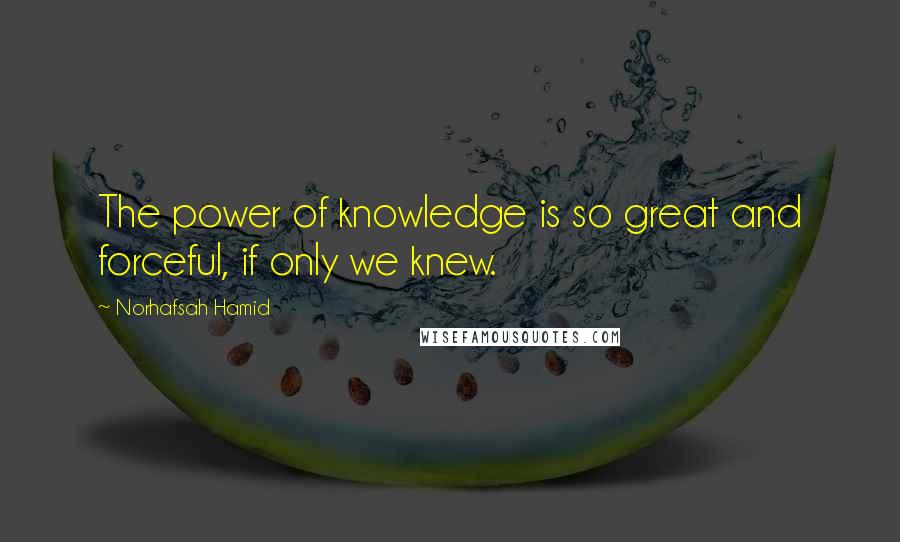 Norhafsah Hamid Quotes: The power of knowledge is so great and forceful, if only we knew.