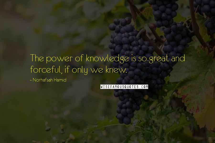 Norhafsah Hamid Quotes: The power of knowledge is so great and forceful, if only we knew.