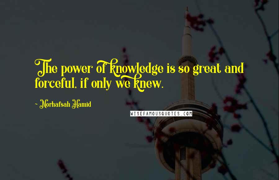 Norhafsah Hamid Quotes: The power of knowledge is so great and forceful, if only we knew.
