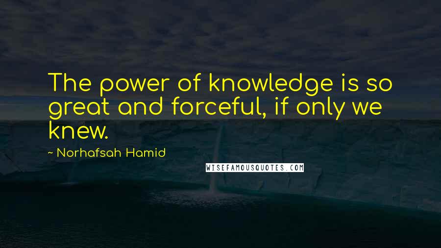 Norhafsah Hamid Quotes: The power of knowledge is so great and forceful, if only we knew.