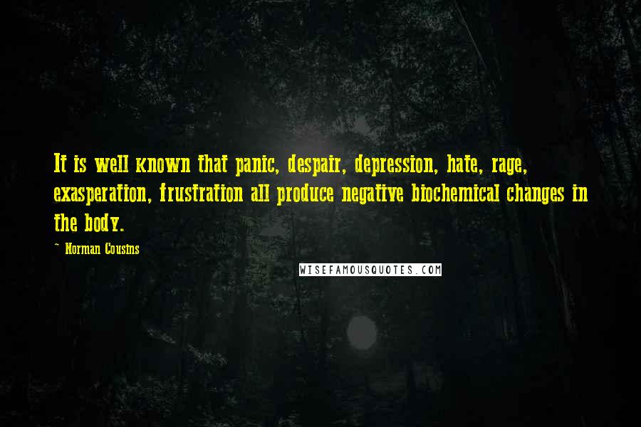 Norman Cousins Quotes: It is well known that panic, despair, depression, hate, rage, exasperation, frustration all produce negative biochemical changes in the body.