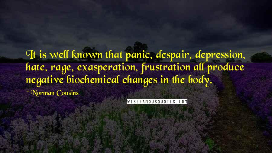 Norman Cousins Quotes: It is well known that panic, despair, depression, hate, rage, exasperation, frustration all produce negative biochemical changes in the body.