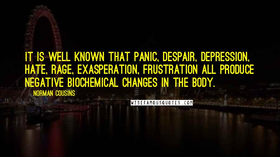 Norman Cousins Quotes: It is well known that panic, despair, depression, hate, rage, exasperation, frustration all produce negative biochemical changes in the body.