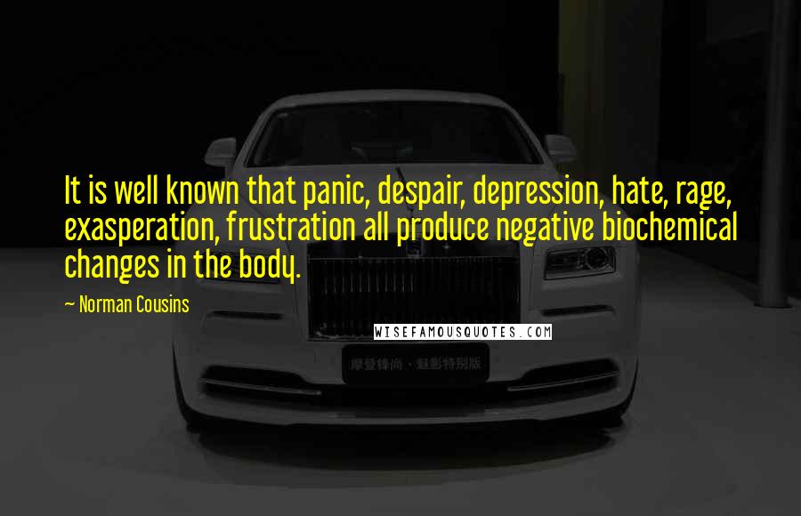 Norman Cousins Quotes: It is well known that panic, despair, depression, hate, rage, exasperation, frustration all produce negative biochemical changes in the body.