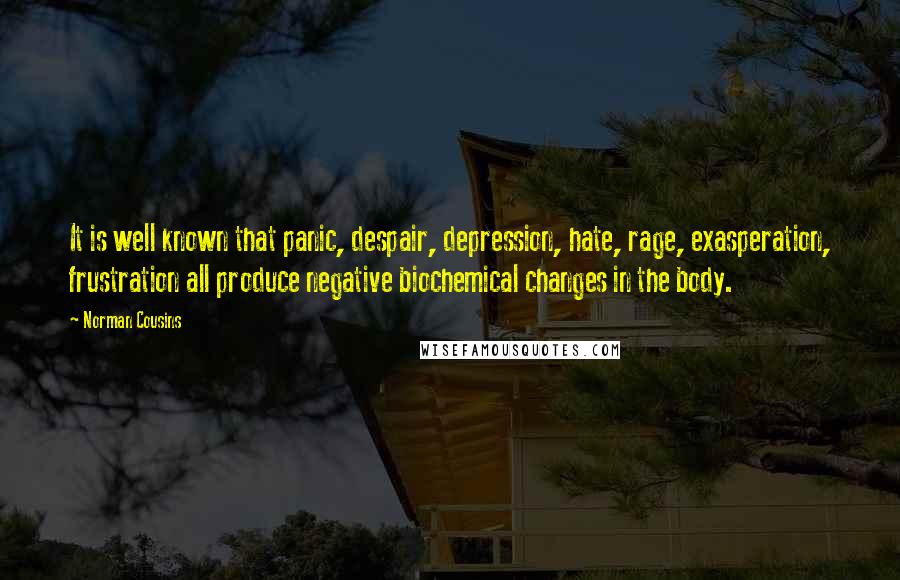 Norman Cousins Quotes: It is well known that panic, despair, depression, hate, rage, exasperation, frustration all produce negative biochemical changes in the body.