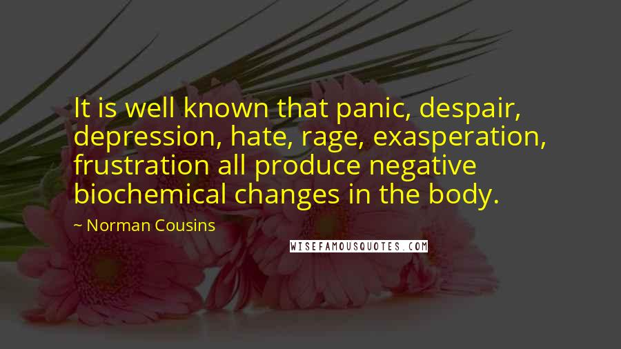 Norman Cousins Quotes: It is well known that panic, despair, depression, hate, rage, exasperation, frustration all produce negative biochemical changes in the body.