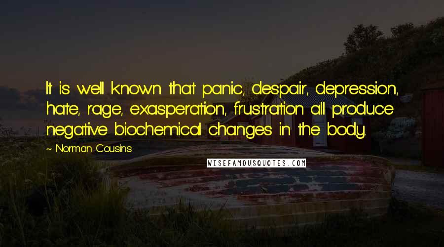 Norman Cousins Quotes: It is well known that panic, despair, depression, hate, rage, exasperation, frustration all produce negative biochemical changes in the body.