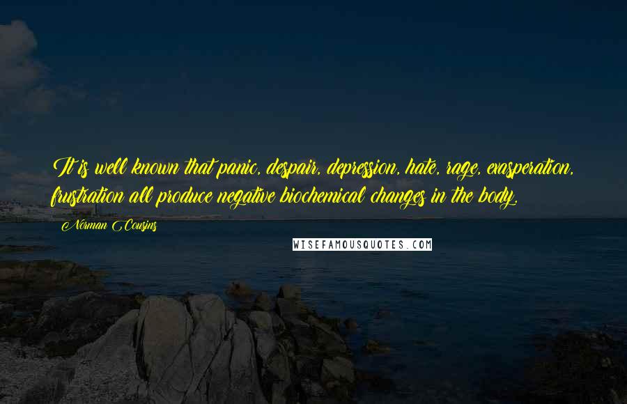 Norman Cousins Quotes: It is well known that panic, despair, depression, hate, rage, exasperation, frustration all produce negative biochemical changes in the body.