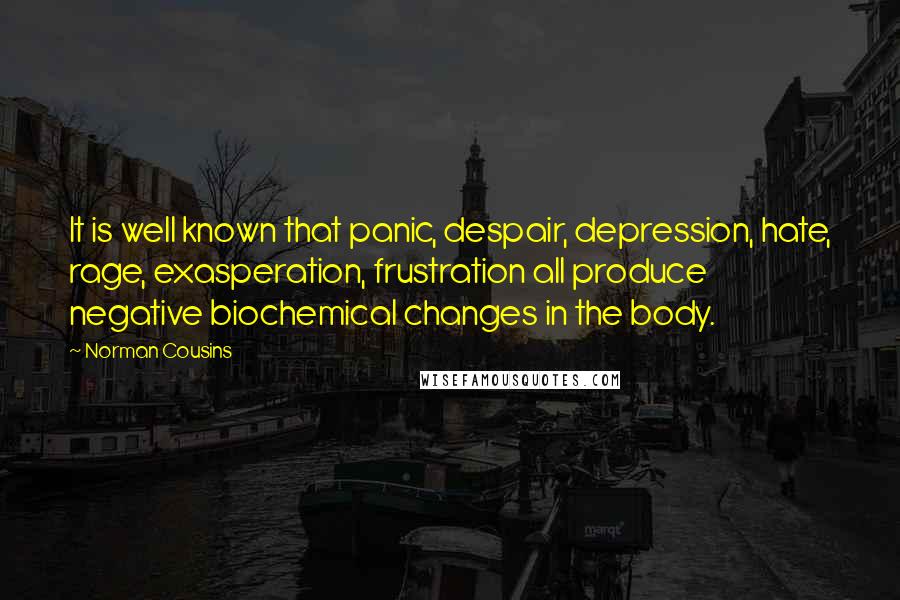 Norman Cousins Quotes: It is well known that panic, despair, depression, hate, rage, exasperation, frustration all produce negative biochemical changes in the body.