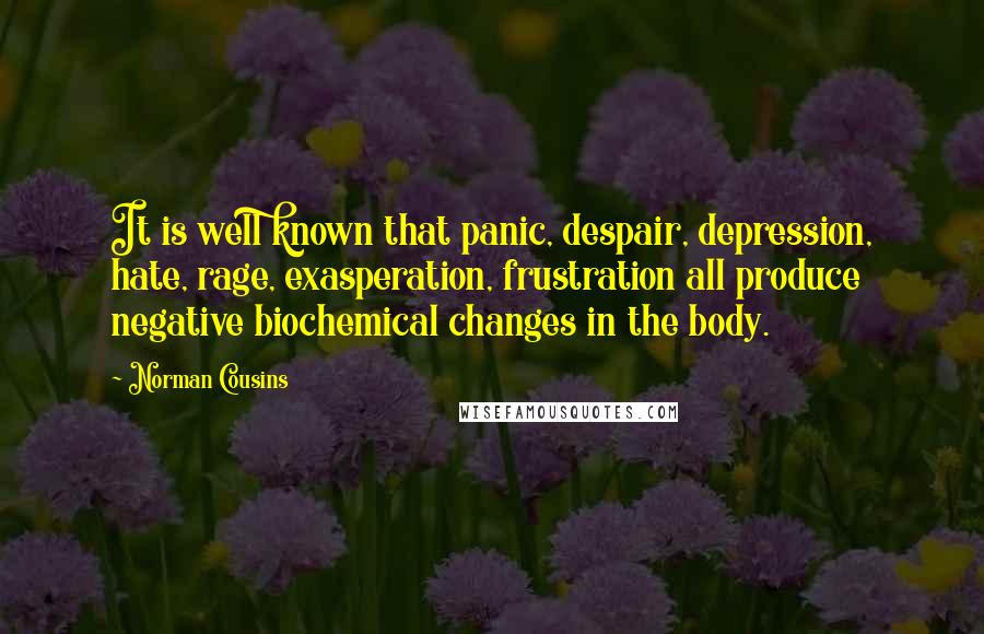 Norman Cousins Quotes: It is well known that panic, despair, depression, hate, rage, exasperation, frustration all produce negative biochemical changes in the body.