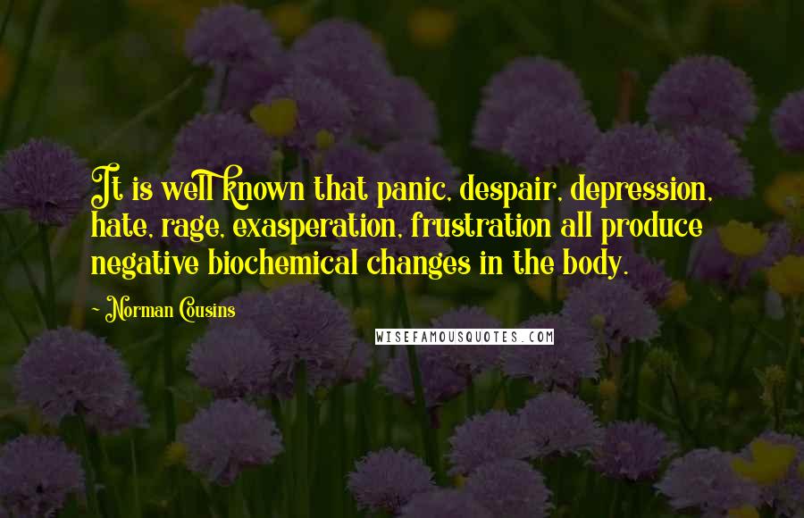 Norman Cousins Quotes: It is well known that panic, despair, depression, hate, rage, exasperation, frustration all produce negative biochemical changes in the body.