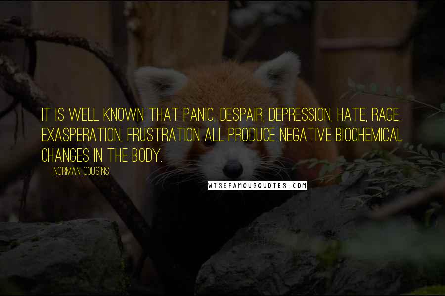 Norman Cousins Quotes: It is well known that panic, despair, depression, hate, rage, exasperation, frustration all produce negative biochemical changes in the body.