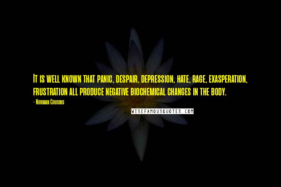 Norman Cousins Quotes: It is well known that panic, despair, depression, hate, rage, exasperation, frustration all produce negative biochemical changes in the body.