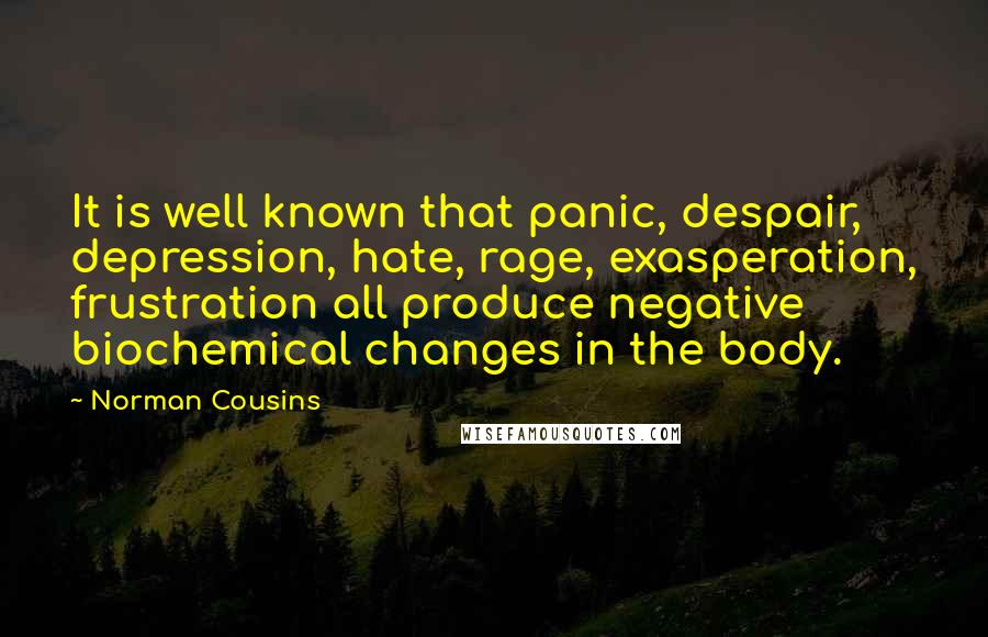 Norman Cousins Quotes: It is well known that panic, despair, depression, hate, rage, exasperation, frustration all produce negative biochemical changes in the body.