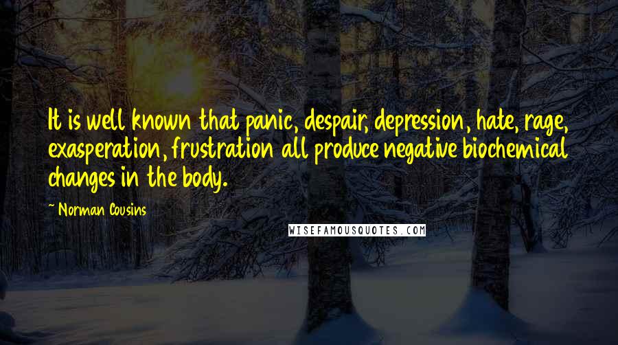 Norman Cousins Quotes: It is well known that panic, despair, depression, hate, rage, exasperation, frustration all produce negative biochemical changes in the body.