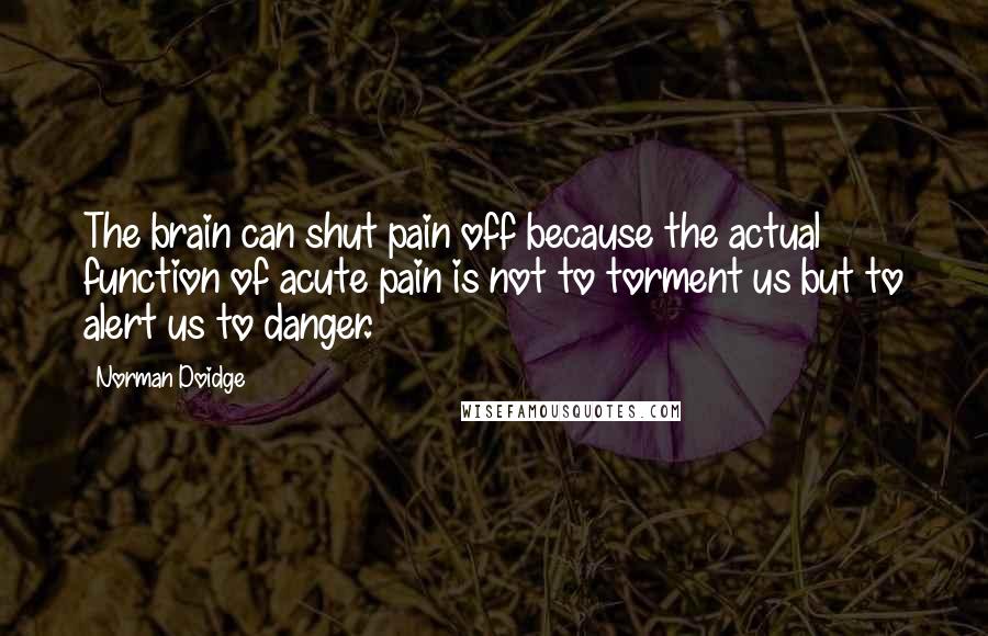 Norman Doidge Quotes: The brain can shut pain off because the actual function of acute pain is not to torment us but to alert us to danger.