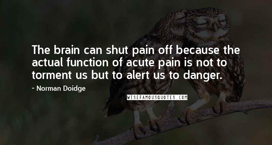 Norman Doidge Quotes: The brain can shut pain off because the actual function of acute pain is not to torment us but to alert us to danger.