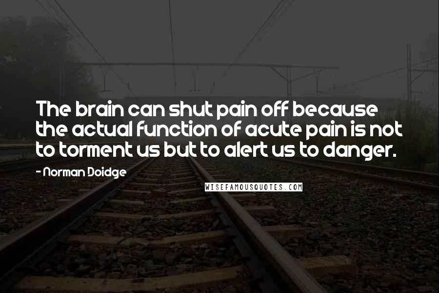 Norman Doidge Quotes: The brain can shut pain off because the actual function of acute pain is not to torment us but to alert us to danger.