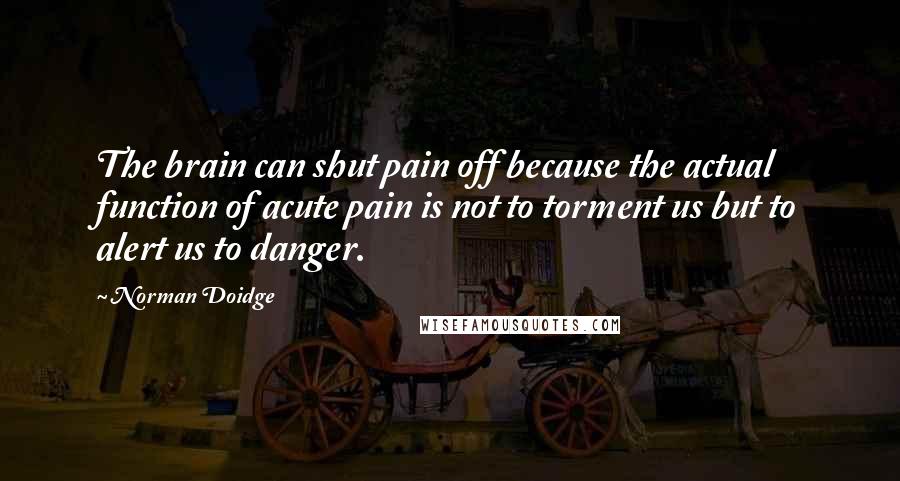 Norman Doidge Quotes: The brain can shut pain off because the actual function of acute pain is not to torment us but to alert us to danger.