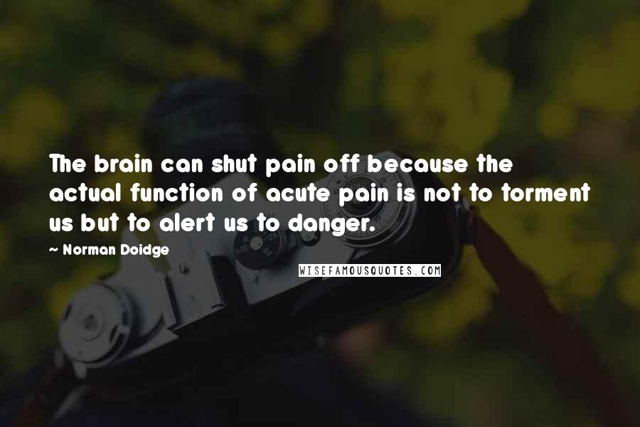 Norman Doidge Quotes: The brain can shut pain off because the actual function of acute pain is not to torment us but to alert us to danger.