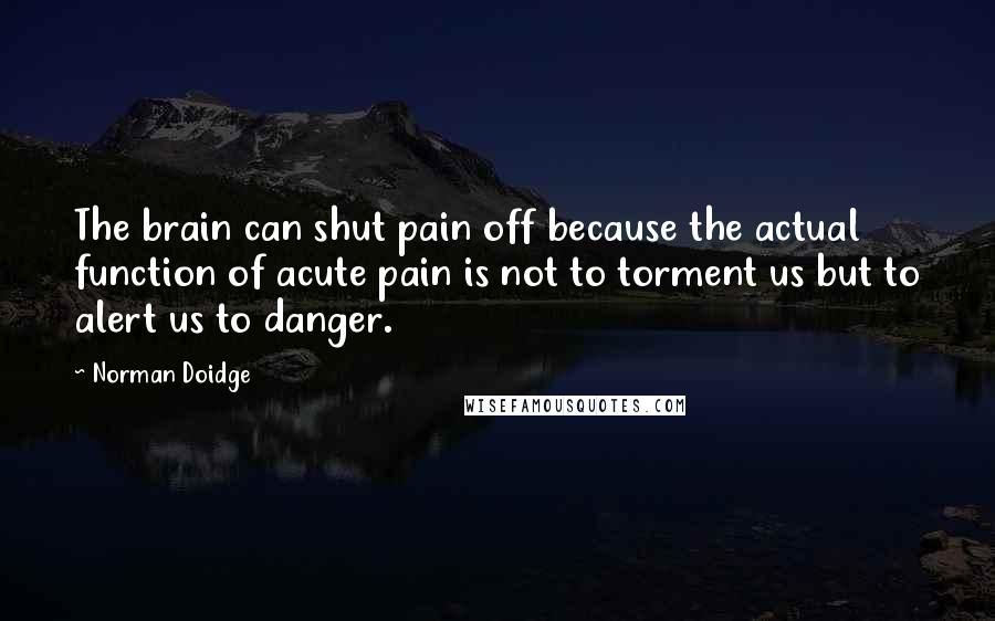 Norman Doidge Quotes: The brain can shut pain off because the actual function of acute pain is not to torment us but to alert us to danger.