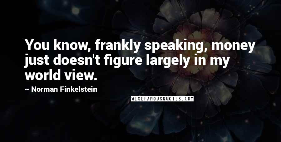 Norman Finkelstein Quotes: You know, frankly speaking, money just doesn't figure largely in my world view.