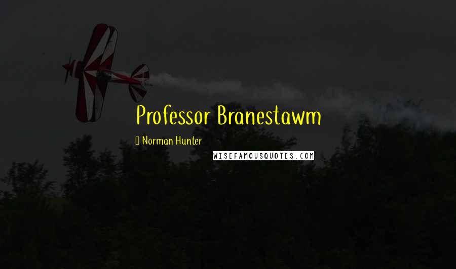 Norman Hunter Quotes: Professor Branestawm